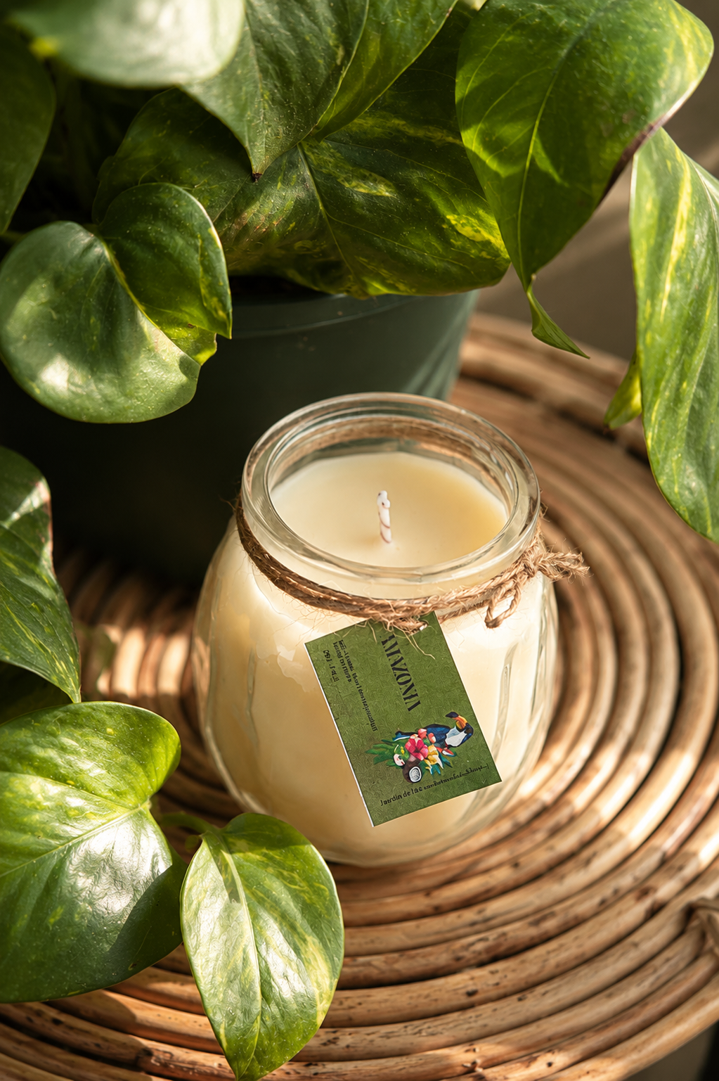 Vela Aromática Amazonia | Vela de Soja con Citronela, Leche de Coco, Naranja y Manzana